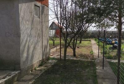 Casă cu 2 camere cu Teren 530 Mp în Lacu Sărat - 7