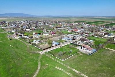 Casă cu 5 camere cu Teren 3400 Mp în Răchitosu - 30