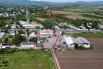 Oportunitate vie 54 ha la DN E85 - 4