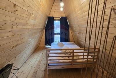 Proprietate Speciala in Gura Raului, Sibiu - Doua Cabane A-Frame - 4