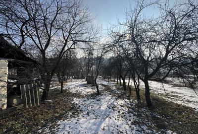 Casă cu 3 camere în Orășa - 6