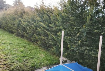 Casă cu 4 camere cu Teren 250 Mp în Unirii - 1