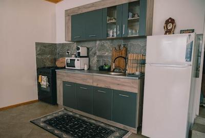 Casă cu 5 camere cu Teren 3900 Mp în Barticești - 5