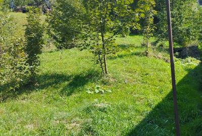 Proprietate in zona montana Moieciu, Brasov - 8