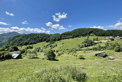 Teren cu vedere panoramica de vanzare | Podu Dambovitei, Comuna Dambovicioara - 6