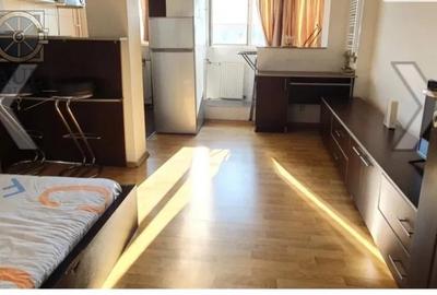 GARSONIERA-RAHOVA-BARCA-PETRE ISPIRESCU - 1