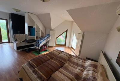 Casa P+M+Pod in Fundeni, compartimentare practica, teren 1.770 mp - 3