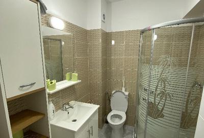 Inchiriez garsoniera noua, Drumul Binelui sect.4 - 6