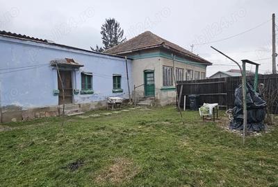 Casă cu 3 camere cu Teren 1900 Mp în Piatra - 4