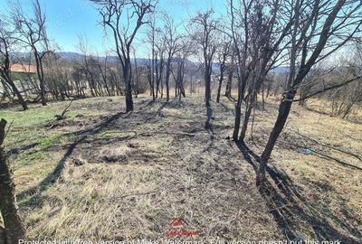 Casă cu Teren 4391 Mp în Cornu - 6