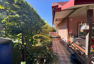 Casa si terasa de vanzare in Magura Bacau - 22