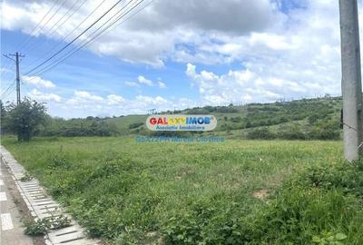 Vanzare teren intravilan Baicoi zona Tintea - 5