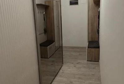 Apartament cu 2 camere în Brazda lui Novac - 8