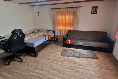 Casă cu 2 camere cu Teren 437 Mp în Ighiu - 14