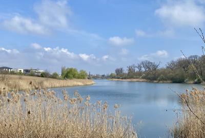 Teren la lac centru Corbeanca, vedere lac si padure, toate utilitatile Teren la lac centru Corbeanca, vedere lac si padure, toate utilitatile - 13