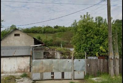 Casă cu Teren 1200 Mp în Central