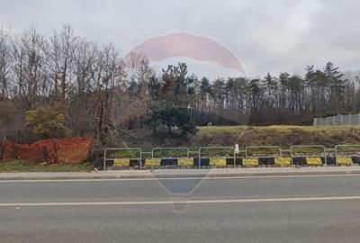 Oportunitate investi?ie B. Felix teren intravilan cu PUZ 1157 mp DN 76 - 10