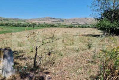 Teren de 5008 mp, în Iara - 1