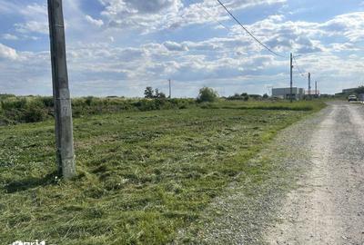 Teren de 500 mp, în Oșorhei - 5