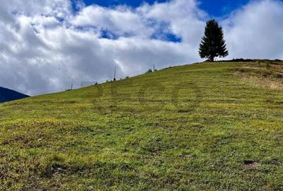 RECO Teren intravilan in Arieseni - 5