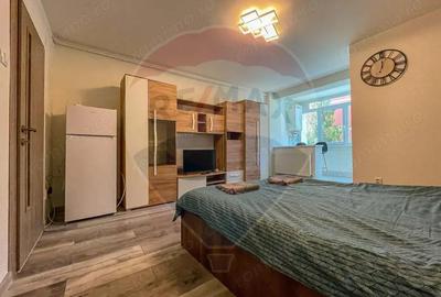 Garsoniera mobilata si utilata, PET FRIENDLY, zona Garii! - 6