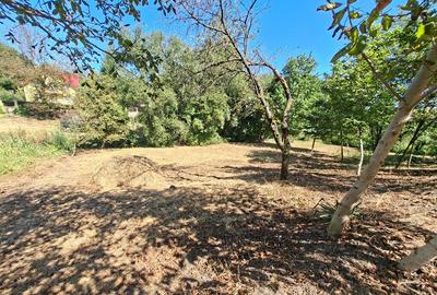 Teren curatat de vegetatie, 1600mp, strada Musat Voda nr. 26-28, - 5