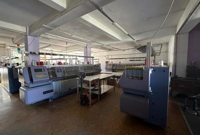 Spațiu industrial, în Turnișor - 2