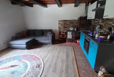 Casă cu Teren 2 Mp în Poieni (Densuș) - 3