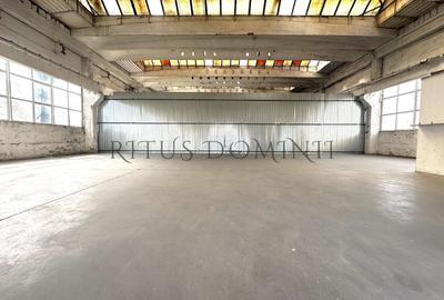 Spațiu industrial, de 218 mp, în Vest - 1