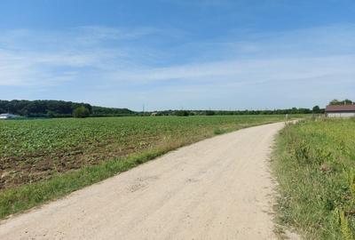 Snagov-Ghermanesti, teren intravilan, 8500mp, la padure - 4