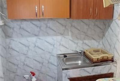 Garsoniera de vanzare Doamna Ghica Rond - parc Plumbuita (cash) - 5