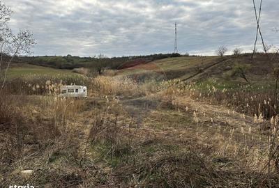 Teren de 5240 mp, în Copalnic - 3