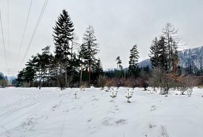 Teren intravilan - Sacele - Brasov - 1