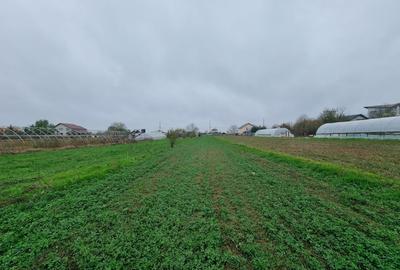 TEREN CASA/ MOGOSESTI GIURGIU - 3