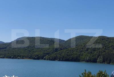 Teren de 20720 mp, în Teliucu Inferior