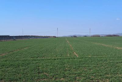 Spațiu comercial, în Central - 2