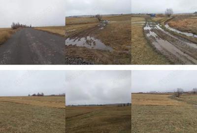 Teren extravilan Com. Vlahita, jud. Harghita - 1