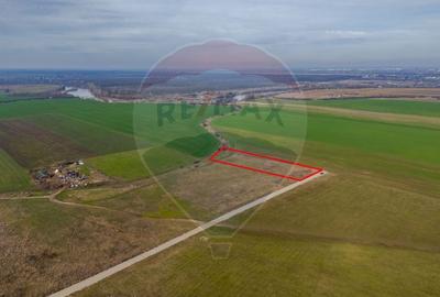 Teren Construcții intravilan de 10000 mp, în Sud - 8