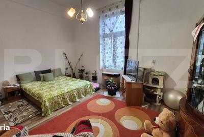 Apartament cu 2 camere semidecomandat în Horea - 5