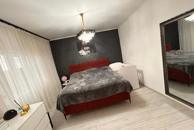 Vand casa + apartament in aceeasi curte - 3