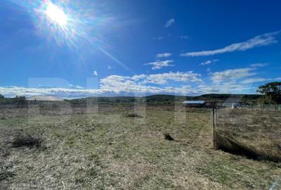 Teren Intravilan de vanzare, 900mp, Turcinesti - 1