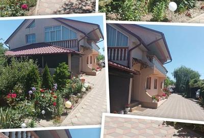 Casă cu 10 camere cu Teren 4900 Mp în Vlădeni - 5