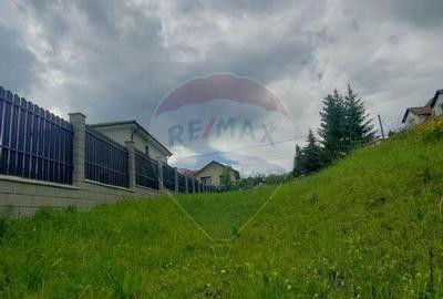 Teren intravilan de vanzare - 4