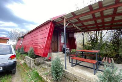 Casa Bontida cu mai multe anexe de inchiriat pe parcursul fe - 13