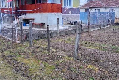 Vand casa cu gradina - 10