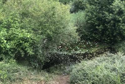 Casă cu 4 camere cu Teren 4400 Mp în Țigmandru - 1