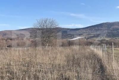 Teren de 1600 mp, în Unirea - 1