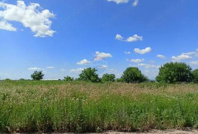 COMISION 0%! Teren 712mp Sacele / Strada Postavarului - 5