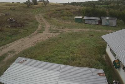 Dorohoi, Botosani - 11