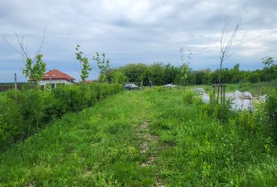 Teren Construcții intravilan de 1000 mp, în Periș - 2